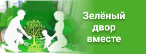 Зеленый двор вместе